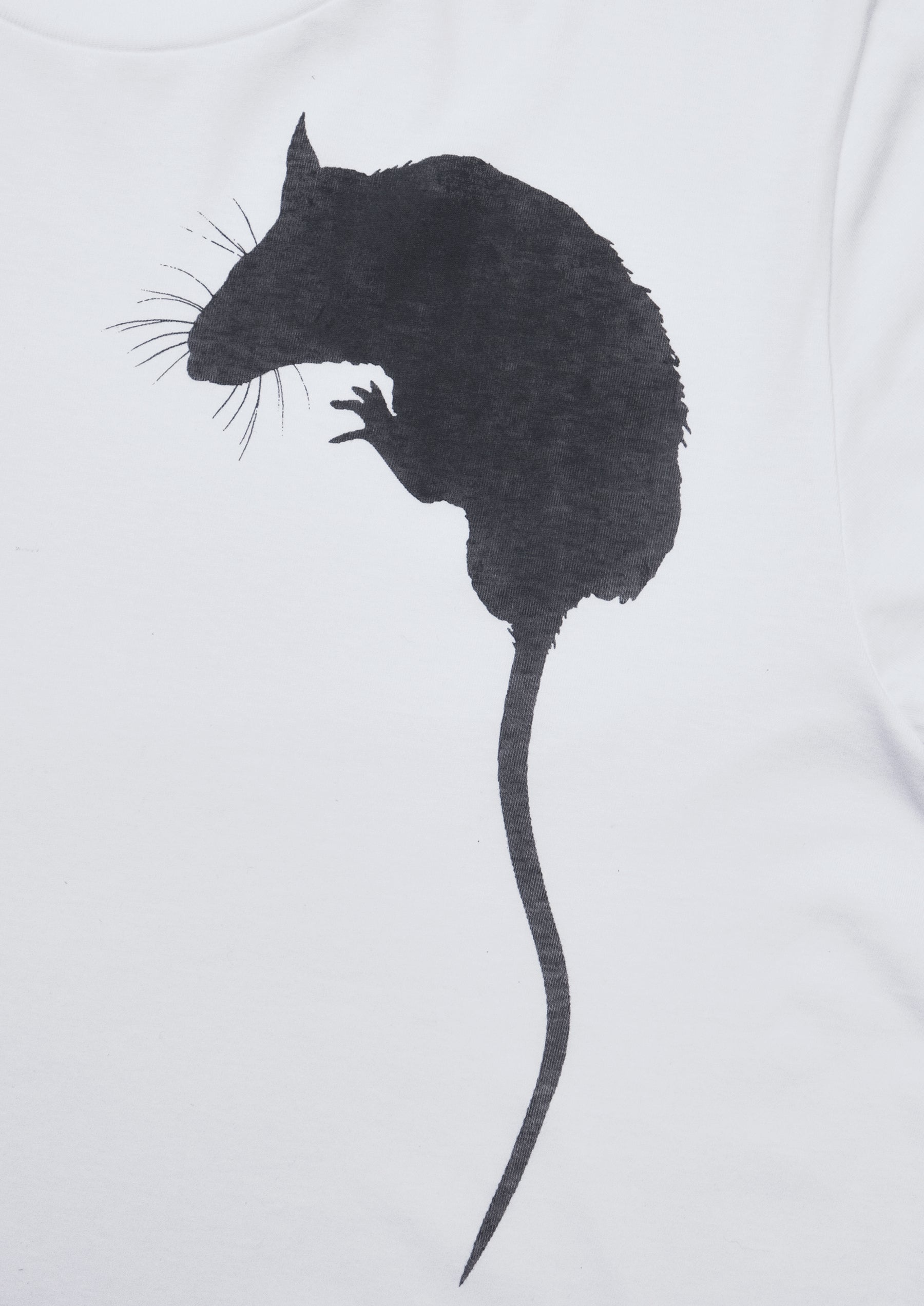 RARERRRATS By Coupled Roof with Restory